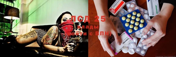 прущие грибы Горняк