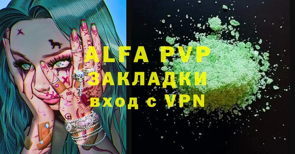 прущие грибы Горняк