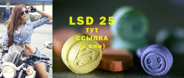 прущие грибы Горняк