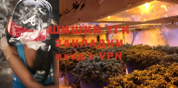 прущие грибы Горняк