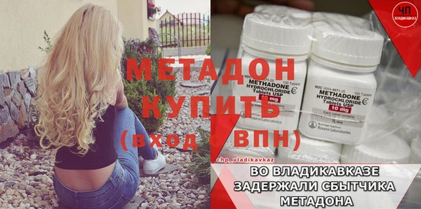 прущие грибы Горняк