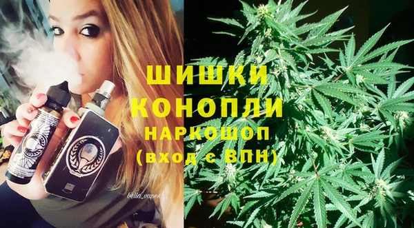 прущие грибы Горняк