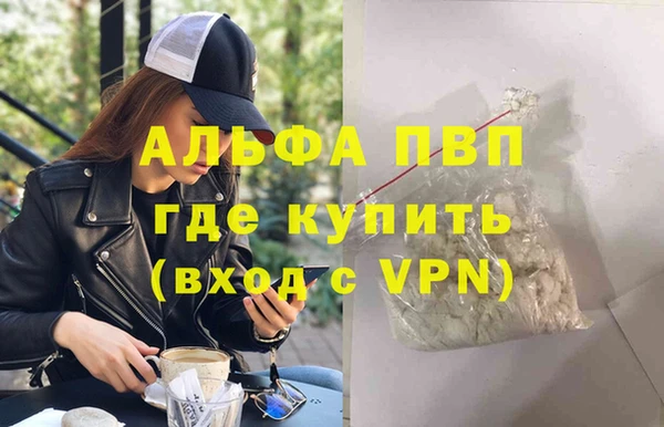 прущие грибы Горняк