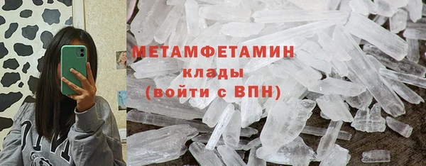 прущие грибы Горняк