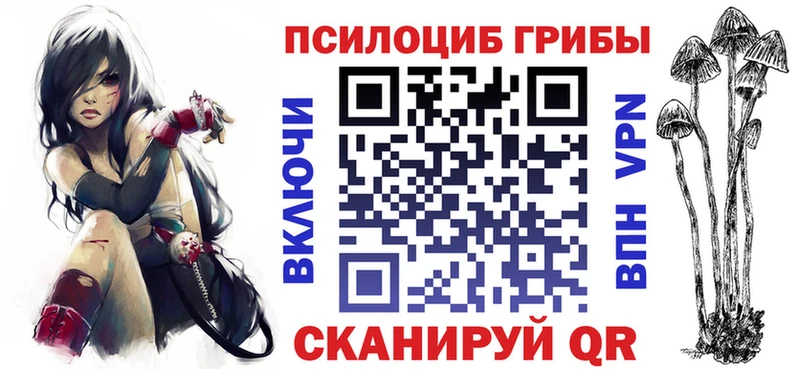 Галлюциногенные грибы Psilocybe  купить  цена  Новокузнецк 